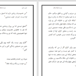 دانلود پی دی اف کتاب غرور و آبرو لیانا دیاکو PDF