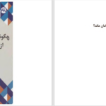 دانلود پی دی اف کتاب چگونه می‌توان در دوران تفرقه از دیوانگی در امان ماند؟ الیف شافاک PDF