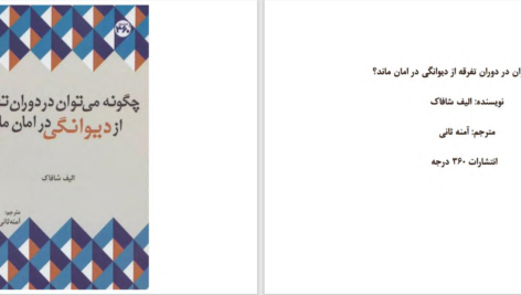 دانلود پی دی اف کتاب چگونه می‌توان در دوران تفرقه از دیوانگی در امان ماند؟ الیف شافاک PDF
