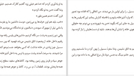 دانلود پی دی اف کتاب تابستان دیوانه ریتا ویلیامز گارسیا PDF