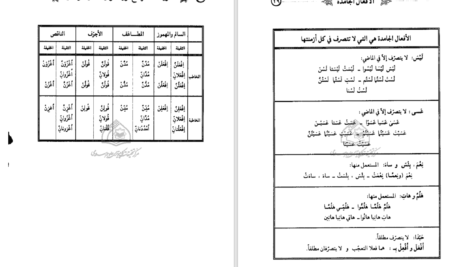 دانلود پی دی اف کتاب مبادی العربیه جلد 4 رشید شرتونی PDF