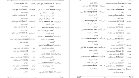 دانلود پی دی اف کتاب فرهنگ لغات خوانسار هوشنگ امیری PDF