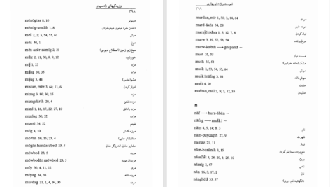 دانلود پی دی اف کتاب وزیدیگیهای زادپسرم محمدتقی راشد محصل PDF
