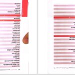 دانلود پی دی اف کتاب راهنمای دارویی پرستاران قلب و CCU فائزه بابایی اصل PDF