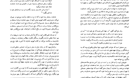 دانلود پی دی اف کتاب رنج ایوب ژان استینمن PDF