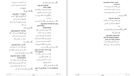 دانلود پی دی اف کتاب فرهنگ لغات خوانسار هوشنگ امیری PDF