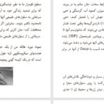 دانلود پی دی اف کتاب سالمندی موفق دنیل جی. لویتین PDF