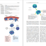 دانلود پی دی اف کتاب PDF Pediatric Nephrology Ellis D.Avner