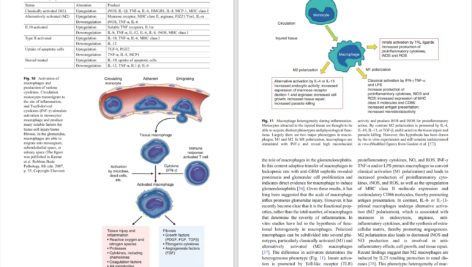 دانلود پی دی اف کتاب PDF Pediatric Nephrology Ellis D.Avner