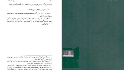 دانلود پی دی اف کتاب هزاره‌های گمشده جلد 3 پرویز رجبی PDF