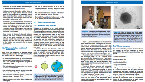 دانلود پی دی اف کتاب PDF Joseph Osmundson Virology