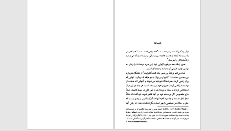 دانلود پی دی اف کتاب چرخ بازیگر دیوید نیون PDF