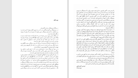 دانلود پی دی اف کتاب فرهنگ گویشی خراسان بزرگ امیر شالچی PDF