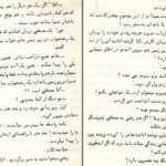 دانلود پی دی اف کتاب کار چاق کن عزیز نسین PDF