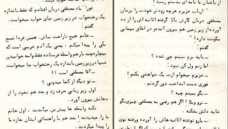 دانلود پی دی اف کتاب کار چاق کن عزیز نسین PDF