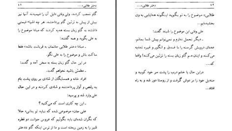دانلود پی دی اف کتاب گور خانوادگی عزیز نسین PDF
