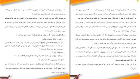 دانلود پی دی اف کتاب پیشگوی مخفی جلد اول از مجموعه آزمون های آپولو ریک ریردان PDF