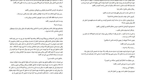 دانلود پی دی اف کتاب عشق در حین نفرت PDF