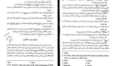 دانلود پی دی اف کتاب ادیان ابتدایی تحقیق در توتمیسم دکتر جمشید آزادگان PDF