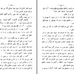 دانلود پی دی اف کتاب صلاح الدین ایوبی و بنگیان قسمت دوم جرجی زیدانPDF