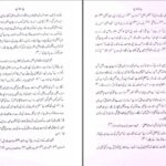 دانلود پی دی اف کتاب ھندوستان میں فارسی تاریخ نگاری پروفیسر شاه محمد وسیم PDF