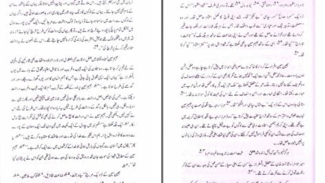 دانلود پی دی اف کتاب ھندوستان میں فارسی تاریخ نگاری پروفیسر شاه محمد وسیم PDF