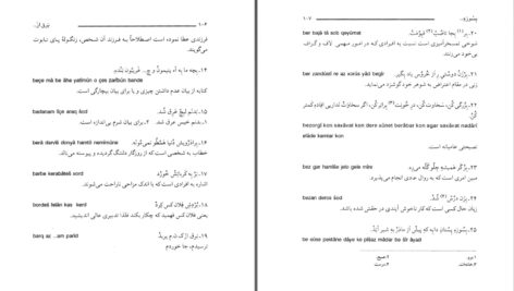 دانلود پی دی اف کتاب فرهنگ عامیانه گلباف محمدجواد اسدی گوکی PDF