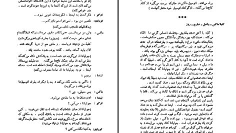 دانلود پی دی اف کتاب صحرای سرخ میکل آنجلو آنتونیونی PDF