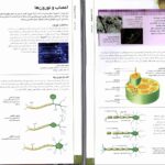 دانلود پی دی اف کتاب فرهنگ نامۀ بدن انسان استیو پارکر PDF
