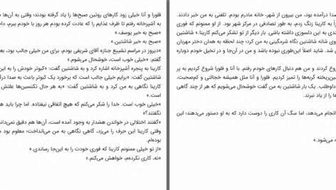 دانلود پی دی اف کتاب خانه گربه ها هیوا قادر PDF