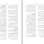 دانلود پی دی اف کتاب فرهنگ لغات زبان مخفی دکتر مهدی سمائی PDF