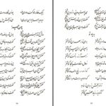 دانلود پی دی اف کتاب دیوان نوربخش دکتر جواد نوربخش PDF