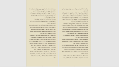 دانلود پی دی اف کتاب گوتیک مکزیکی یا جنون مکزیکی PDF