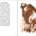 دانلود پی دی اف کتاب گربه سانان بزرگ دزموند موریس PDF