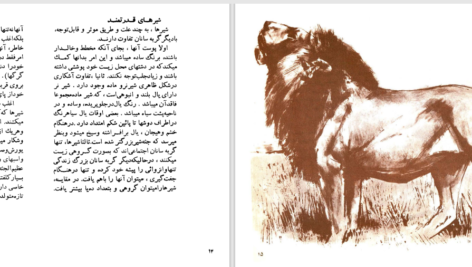 دانلود پی دی اف کتاب گربه سانان بزرگ دزموند موریس PDF