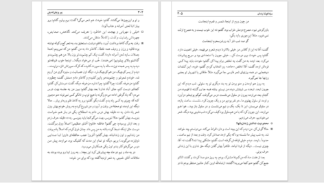 دانلود پی دی اف کتاب پیر پرنیان‌اندیش در صحبت سایه PDF