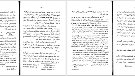 دانلود پی دی اف کتاب فرویدیسم با اشاراتی به ادبیات و عرفان  PDF
