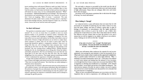 دانلود پی دی اف کتاب The Six Pillars of Self Esteem The Definitive Work on Self Esteem PDF