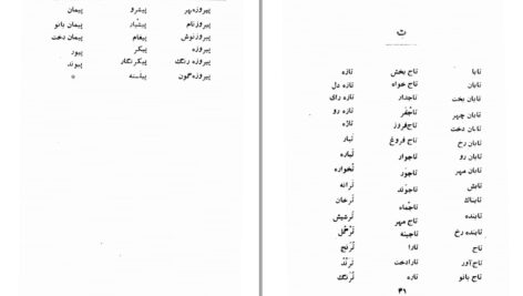 دانلود پی دی اف کتاب نامنامه حسین نخعی PDF