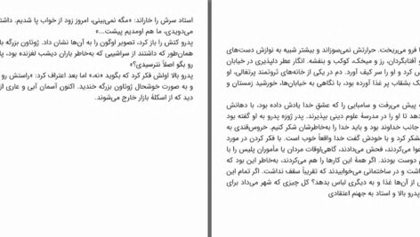 دانلود پی دی اف کتاب ناخدایان خاک و شن ژرژه آمادو PDF