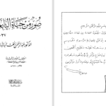 دانلود پی دی اف کتاب صور من حياة التابعين عبد الرحمن رأفت الباشا PDF