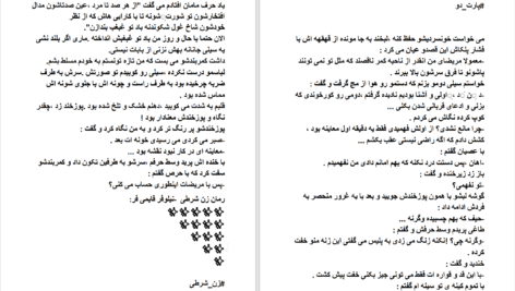 دانلود پی دی اف کتاب زن شرطی نیلوفر قائمی فر PDF