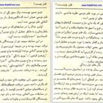 دانلود پی دی اف کتاب گردن کلفت عزیز نسین PDF