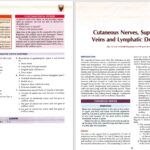 دانلود پی دی اف کتاب آناتومی انسان چوراسیا جلد1 زبان اصلی PDF