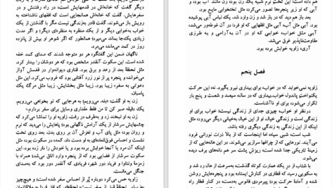 دانلود پی دی اف کتاب زندگی جای دیگری است میلان کوندرا PDF