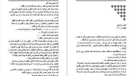 دانلود پی دی اف کتاب زن شرطی نیلوفر قائمی فر PDF