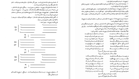 دانلود پی دی اف کتاب شناخت زیبایی زیورهای سخن جهانبخش نوروزی PDF