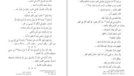 دانلود پی دی اف کتاب صور من حياة التابعين عبد الرحمن رأفت الباشا PDF