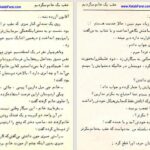 دانلود پی دی اف کتاب گردن کلفت عزیز نسین PDF