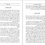 دانلود پی دی اف کتاب زندگی جای دیگری است میلان کوندرا PDF